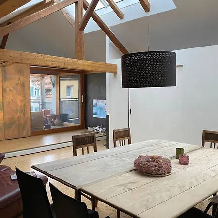 Schlosserhaus 아파트 *